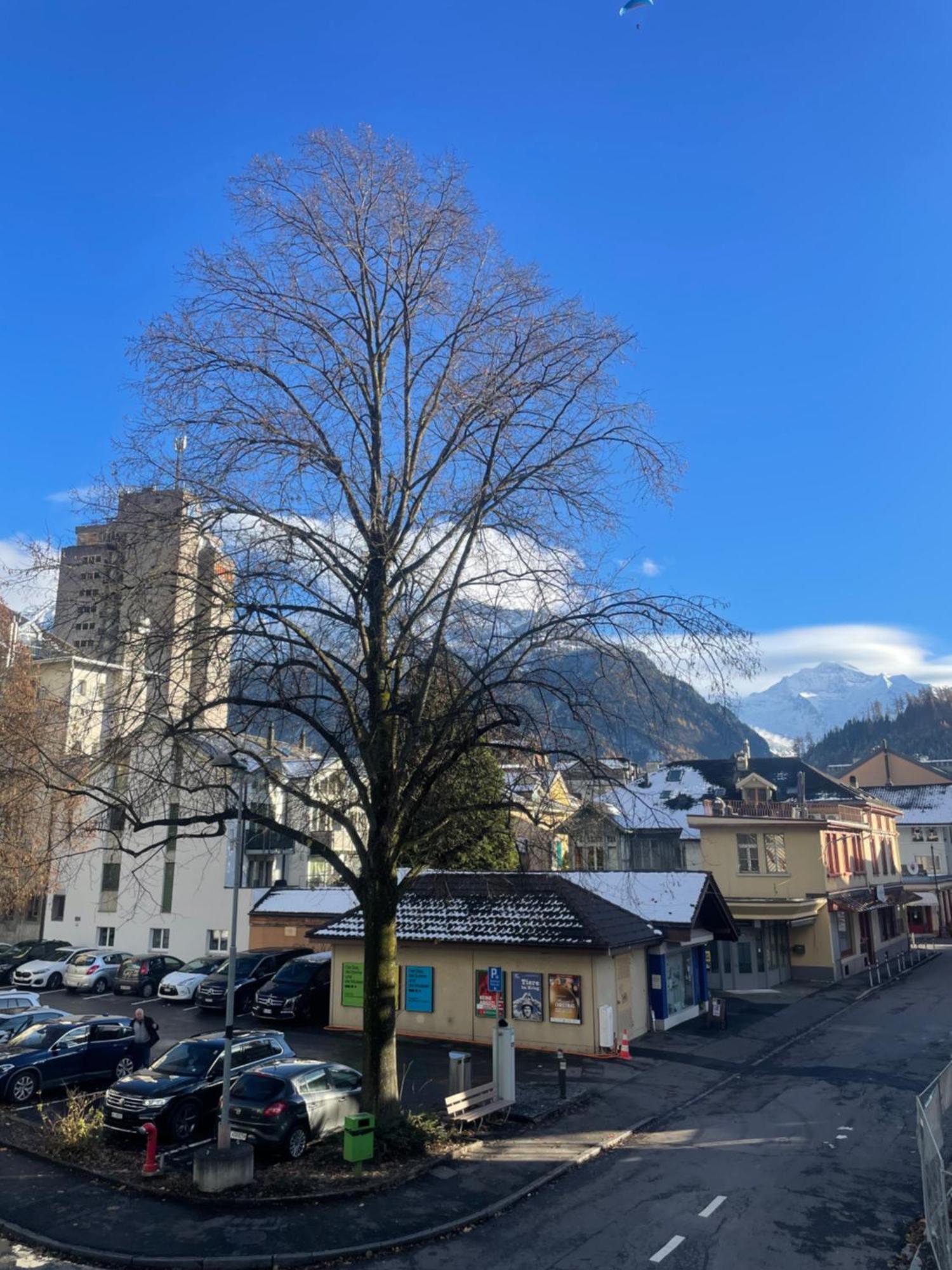 Modern City Apartments Interlaken Eksteriør bilde